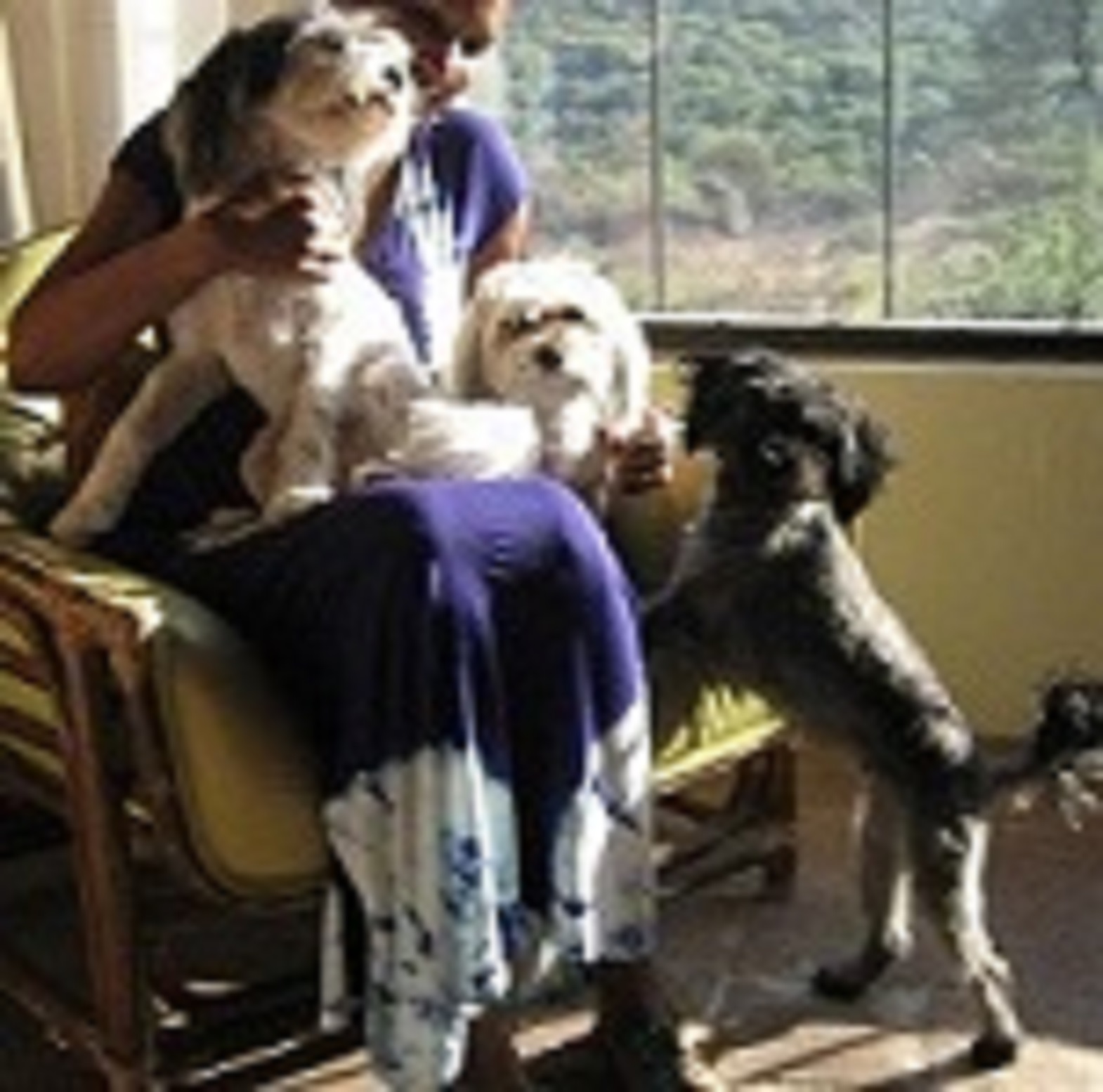 feature story photo